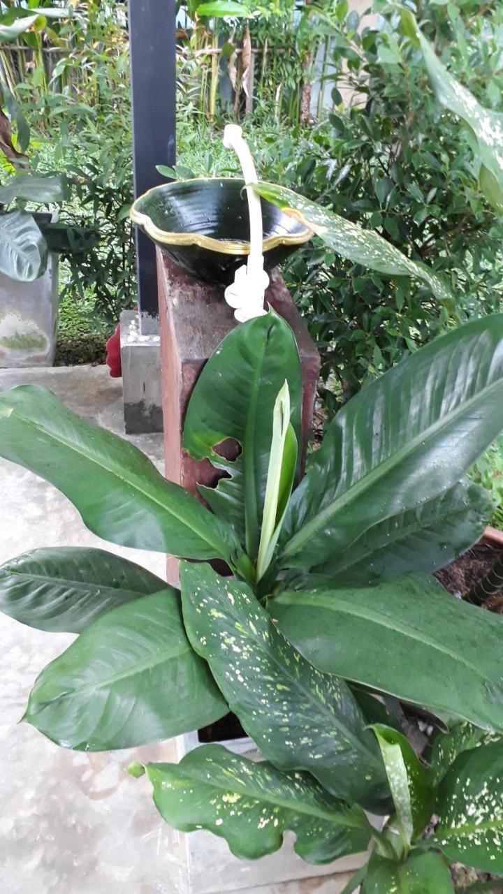 兰达尊贵酒店 Ko Lanta 外观 照片